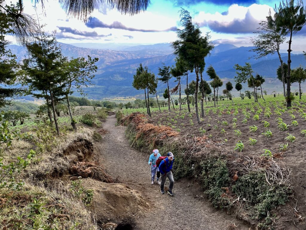Hikers climb a gravel path through farmland.