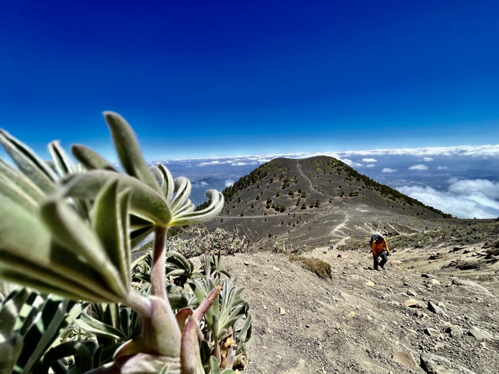 Hikers climb a steep trail to the summit of Acatenango.