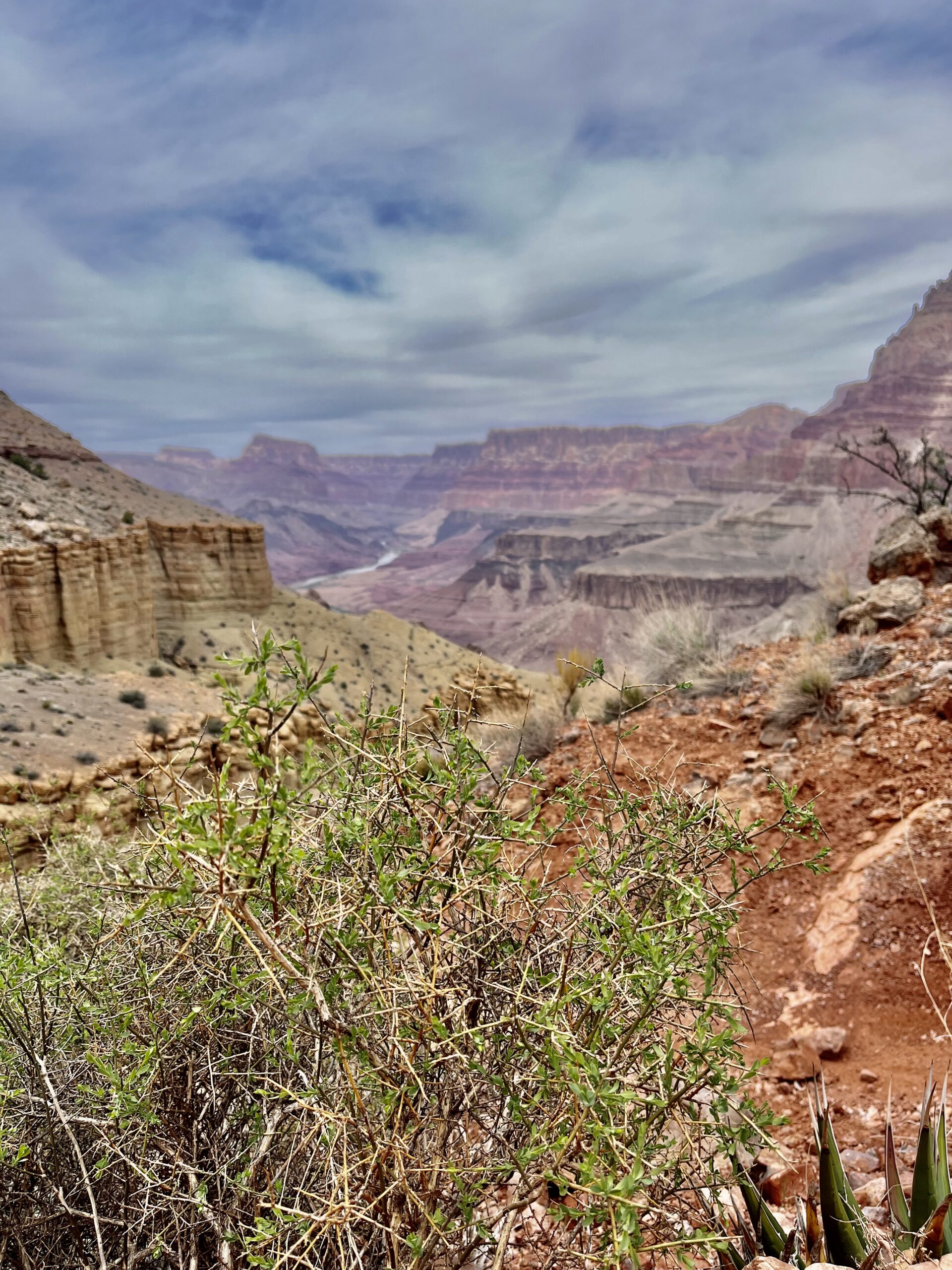 Grand Canyon from the Escalante Route