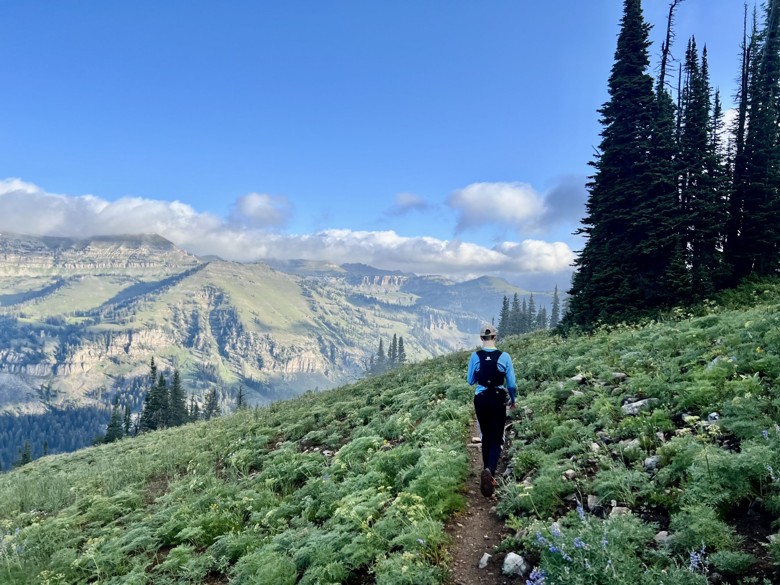 Looking across the Idaho-Wyoming Border atop a pass on the Teton Crest Trail