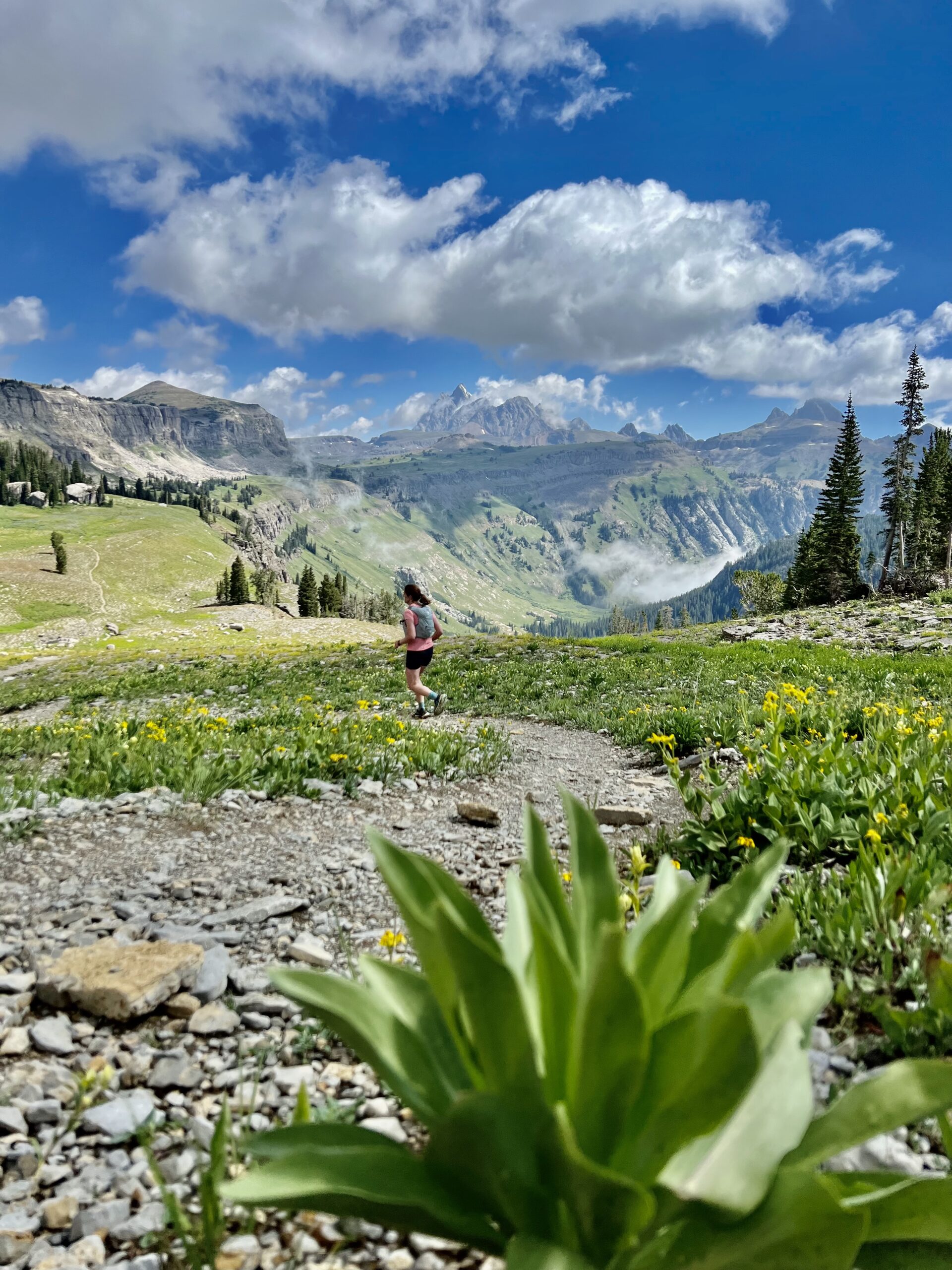 Running towards Death Canyon Shelf and Grand Teton
