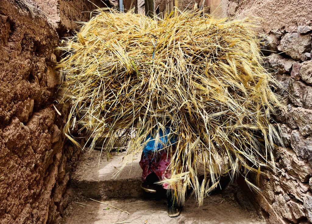 A women cares a massive bale of hay through a Moroccan village.