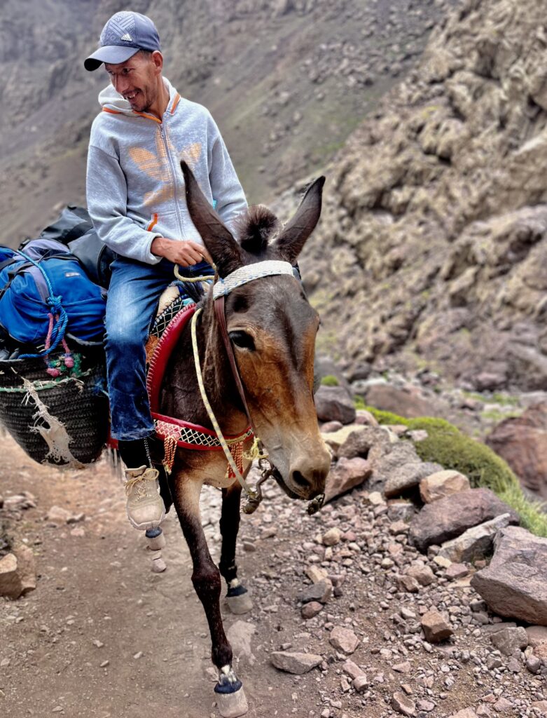 A man rides a pack horse up Mt. Toubkal in Morocco.