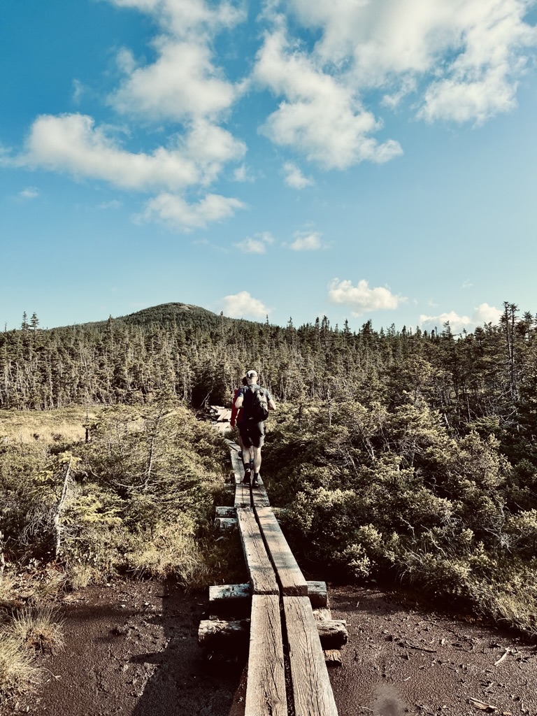 More bog bridges near Mt. Jackson