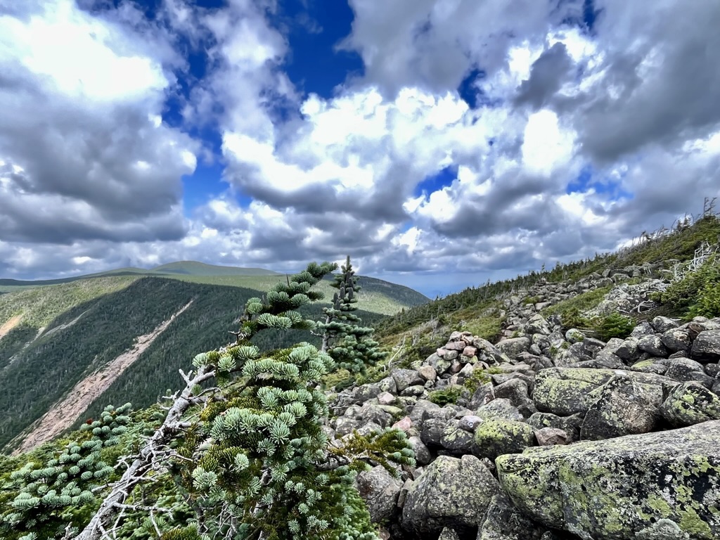 Rocky stretch of trail