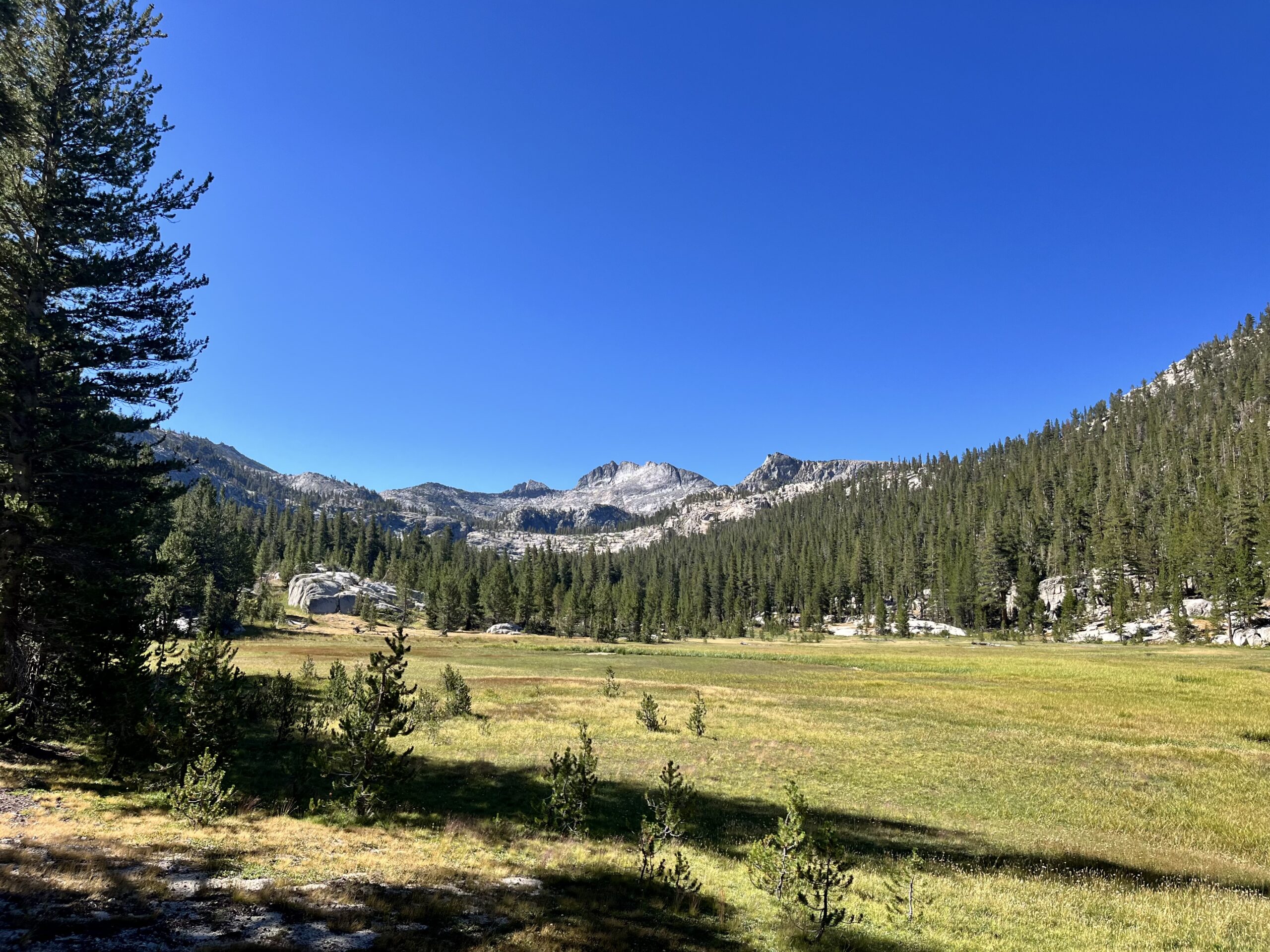 Glacier Valley meadows. Goat Crest is in between the two peaks towards the middle of the photograph.