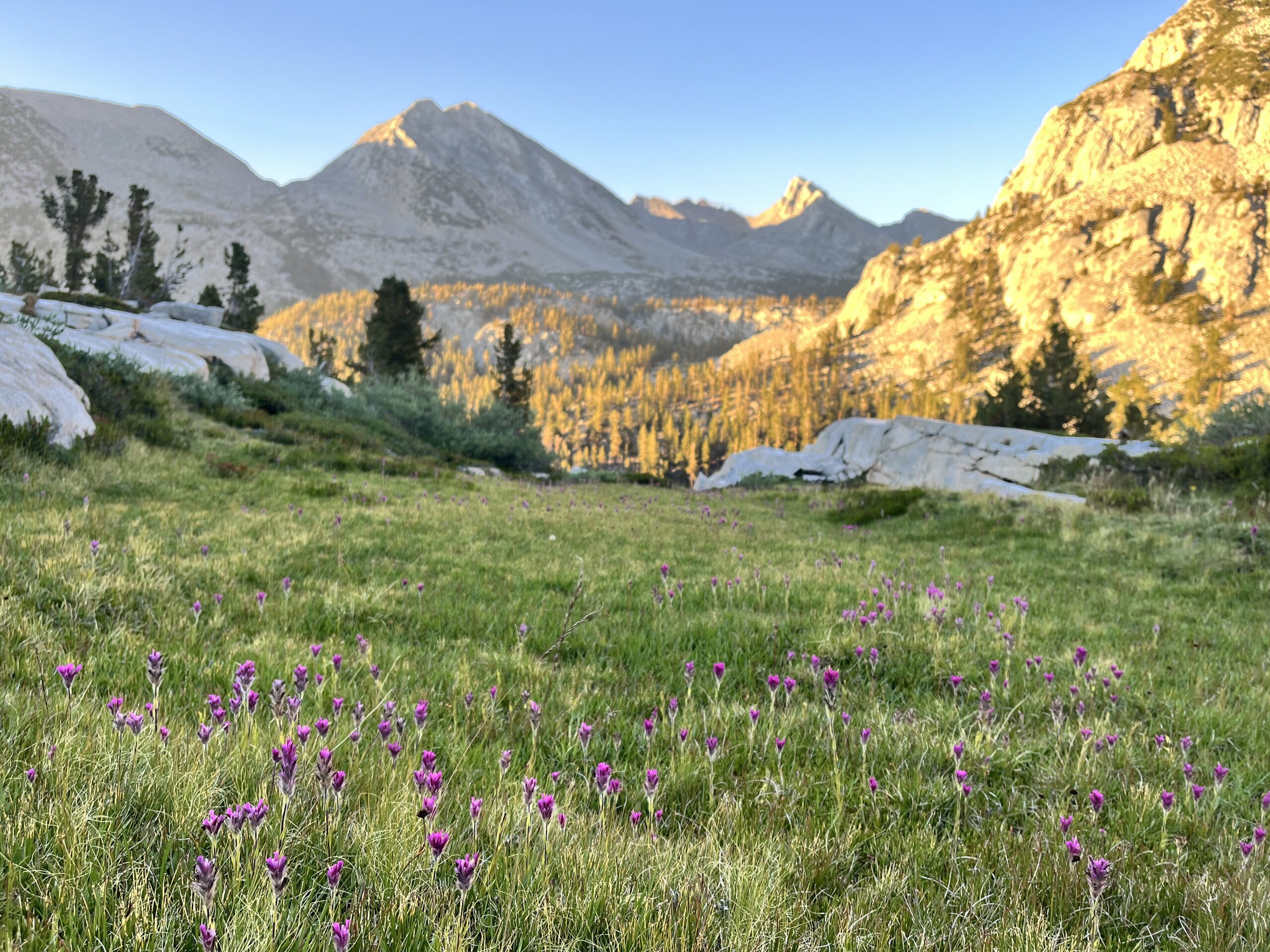 Alpenglow near our campsite.