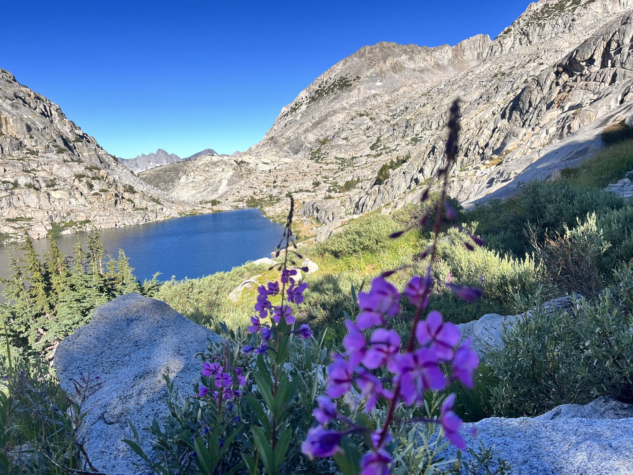 Palisade Basin (facing north)