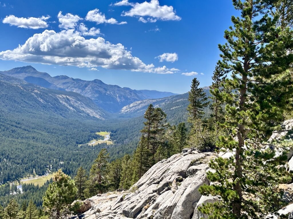 Our shelf vs the JMT