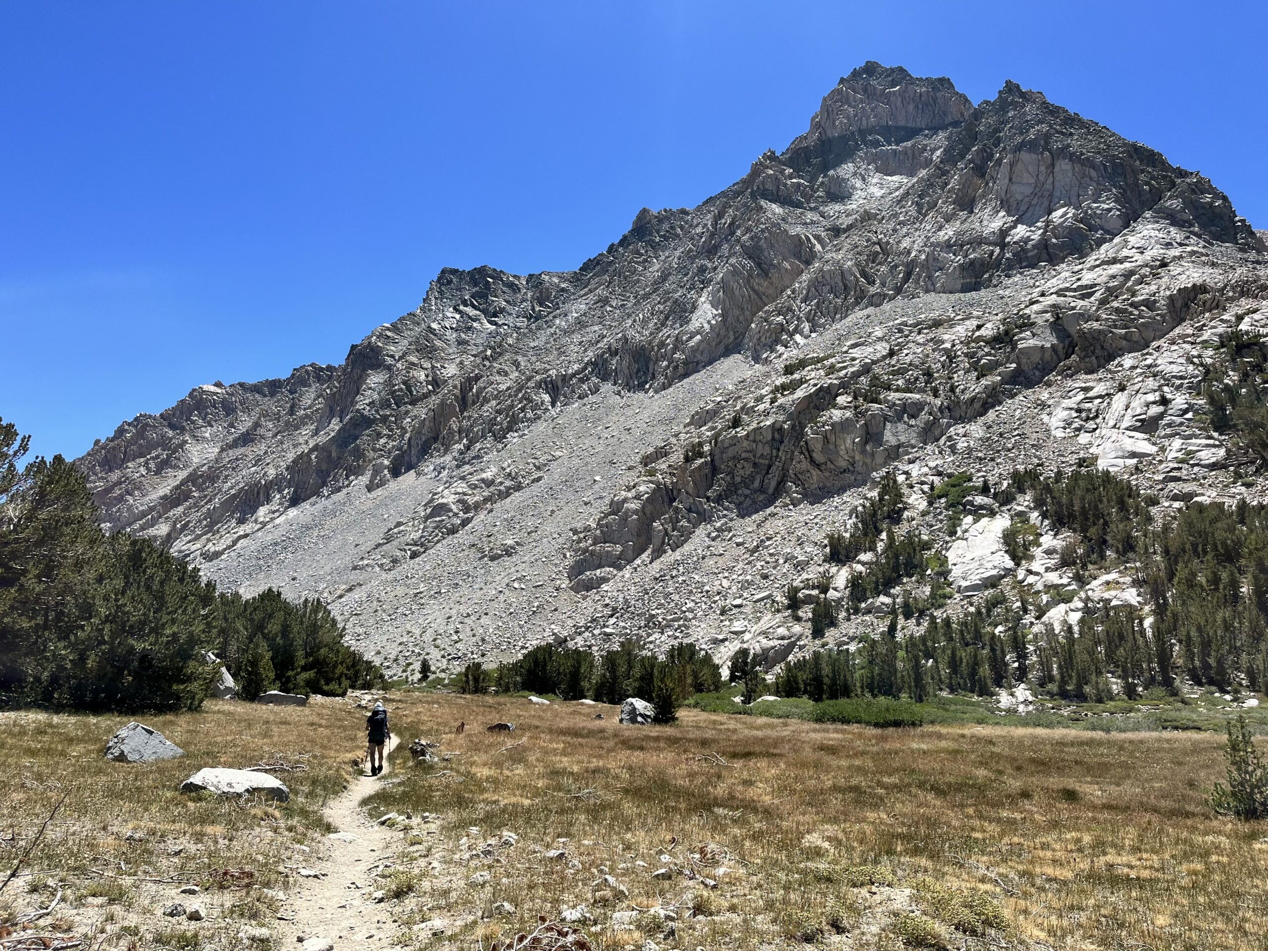 Jim crossing a meadow on the Piute Pass Trail